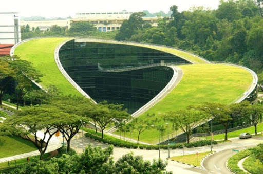 singapore-green-roof