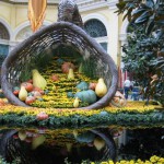 Bellagio Gardens Лас-Вегас, США,знаменитые сады,самые красивые цветники мира,красивые цветники