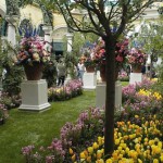Bellagio Gardens Лас-Вегас, США,знаменитые сады,самые красивые цветники мира,красивые цветники