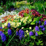 Нерегулярная клумба, клумбы цветов, клумбы +своими руками, клумбы +и цветники, озеленение, альпийская горка