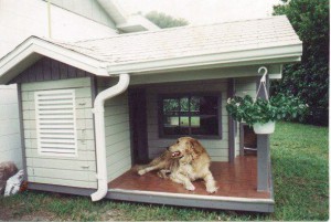 Размеры и месторасположение собачьего жилья